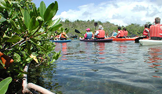 Antigua-Paddles-2