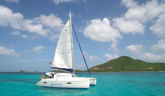 Catch-The-Cat-Antigua