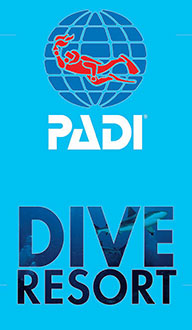 Jolly-Dive